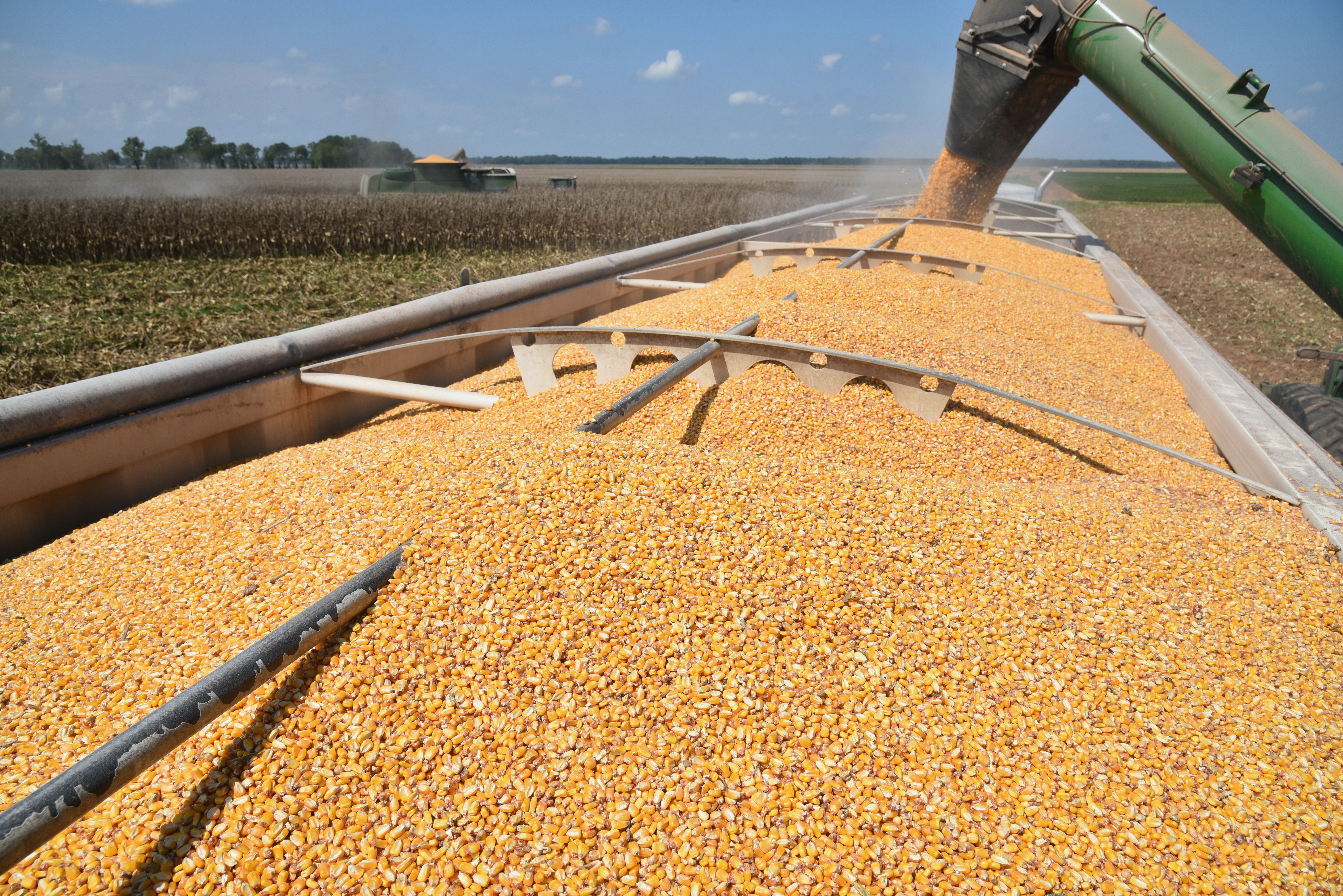 LSU AgCenter Works to Ensure Safe Use of Pesticides